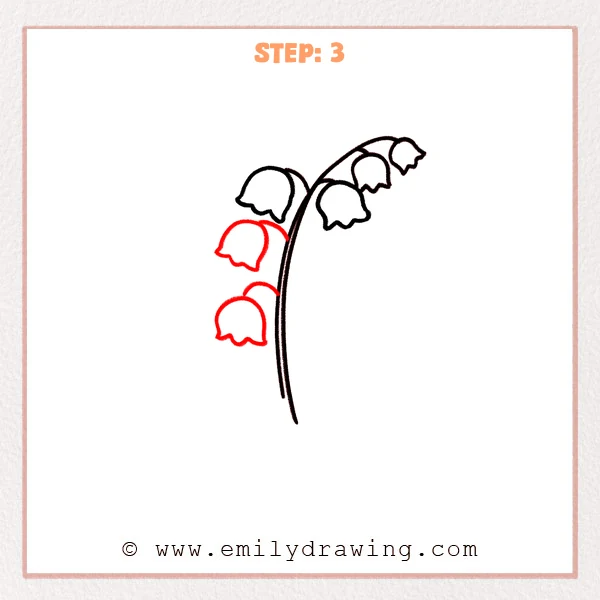 how to draw a lily of the valley - Step 3